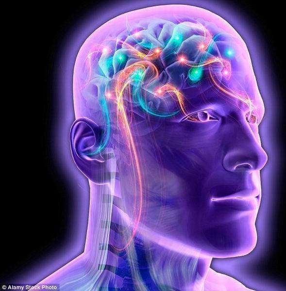 ÔØÈëÆäËûÈËÒâʶµÄÈËÌ壬´ÓÑϸñÒâÒåÉϽ²²¢²»ÊÇÈËÀ࣬µ«Ëü¿ÉÄܾ߱¸ÎÒÃÇËùÈÏΪµÄ¡°ÈËÀàÌØÕ÷¡±£¬±ÈÈ磺ÀíÐÔ¡¢ÀàËÆÈËÀàµÄ¹Ø×¢ºÍÇé¸Ð£¬Ëü¿ÉÄÜÏñÈËÀàÒ»Ñù¡£