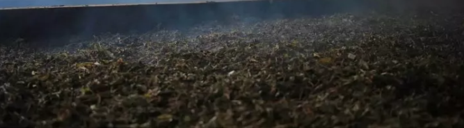 1524099749160882.png a1.png