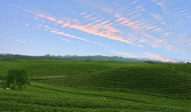 1524445790194039.png c2.png