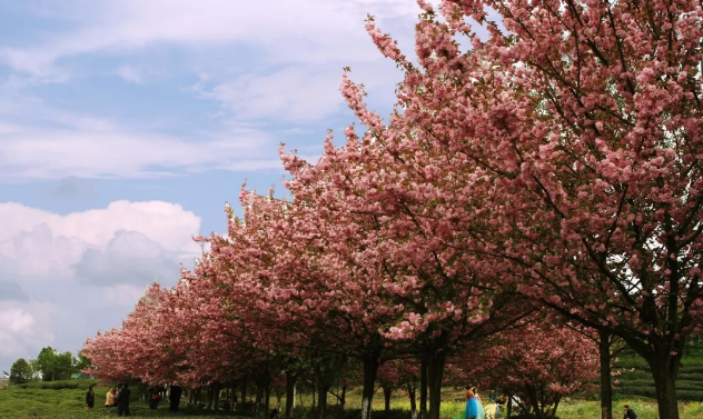 1524704329603511.png c4.png