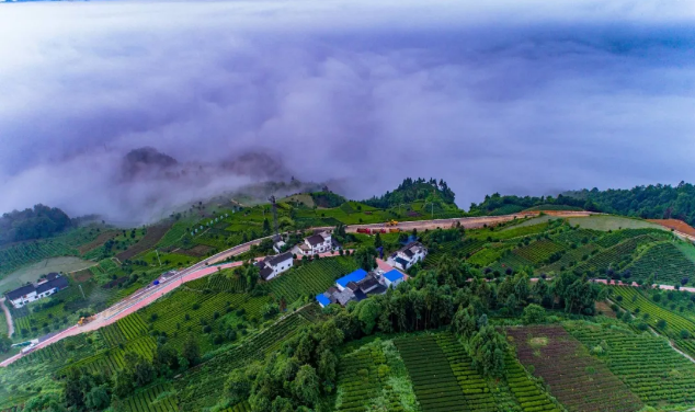 1524704385791911.png c7.png