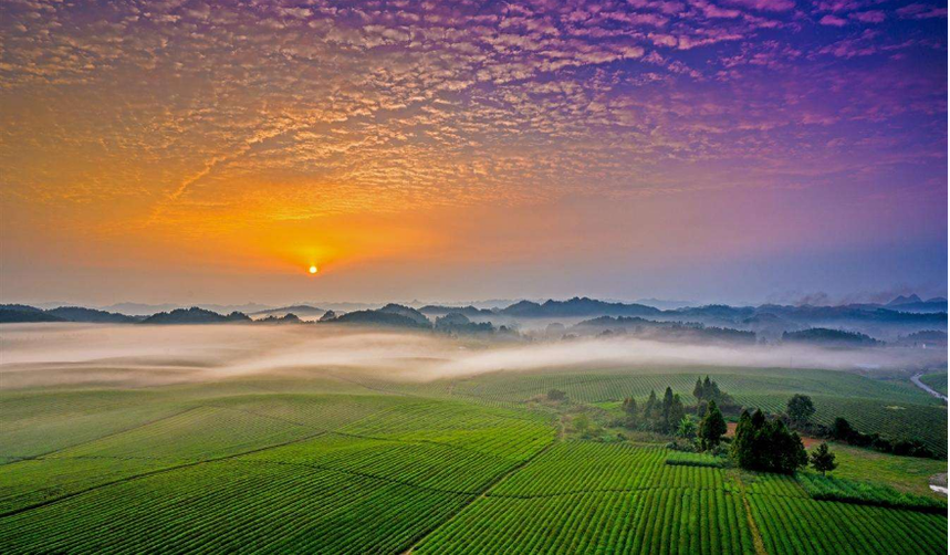 1526979172487496.png e1.png