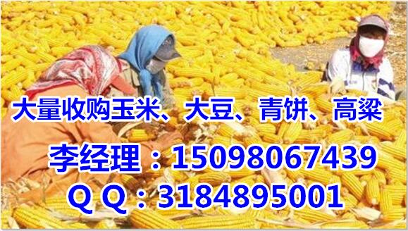 1528942502916090.jpg