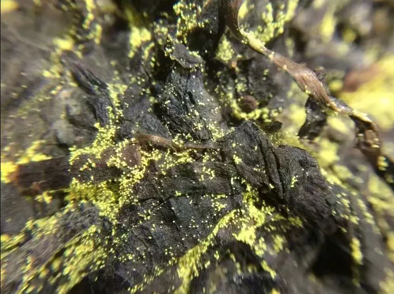 1533870072606671.png c5.png