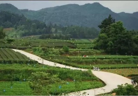 1534770278884465.png d4.png