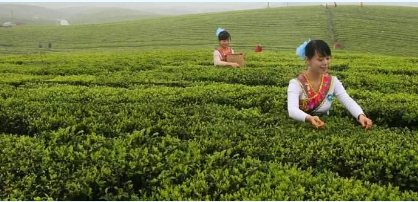 1540114560150637.png d7.png