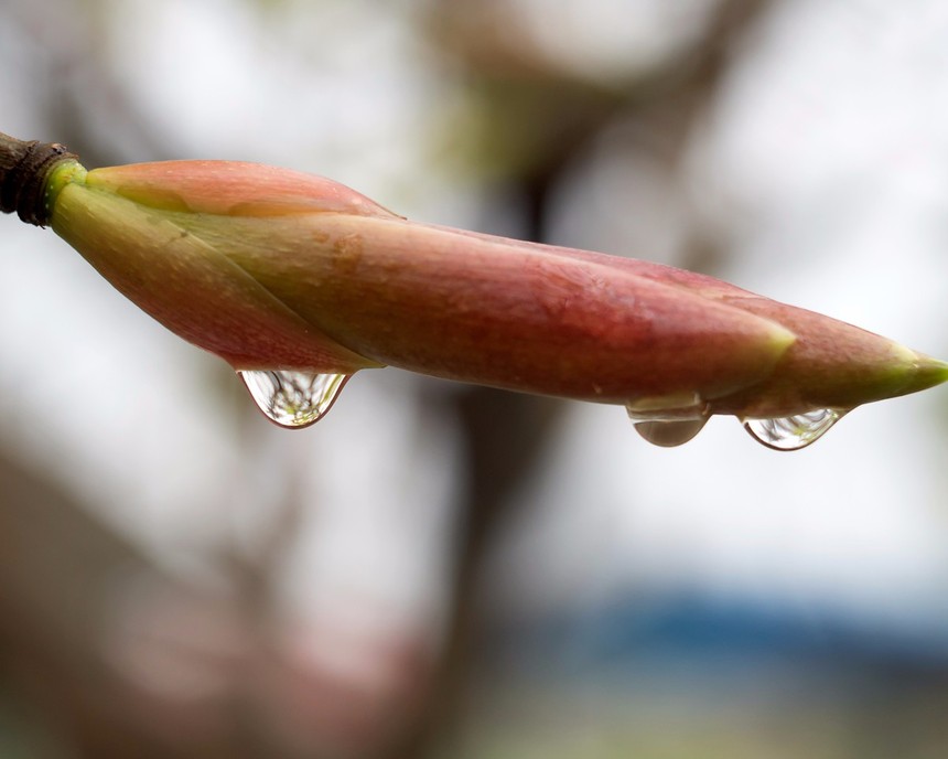 雨露恩泽