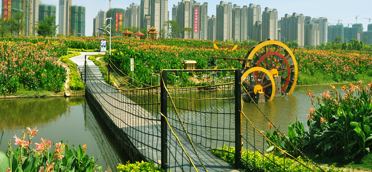 漳州角美"花田美事"